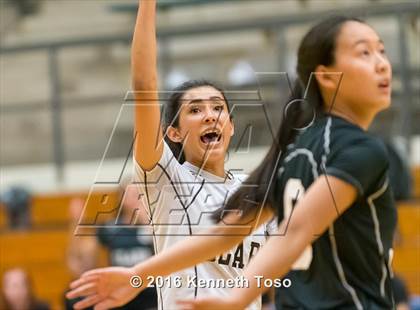 Thumbnail 2 in Brennan vs. Clark photogallery.