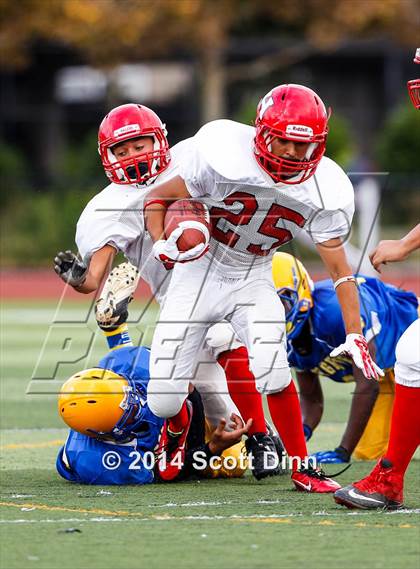 Thumbnail 1 in San Benito @ Oak Grove photogallery.
