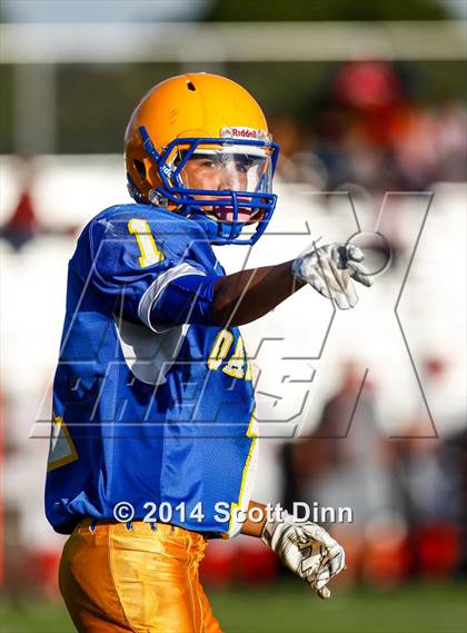 Thumbnail 3 in San Benito @ Oak Grove photogallery.