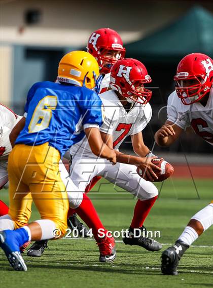 Thumbnail 2 in San Benito @ Oak Grove photogallery.