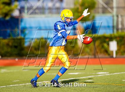 Thumbnail 3 in San Benito @ Oak Grove photogallery.
