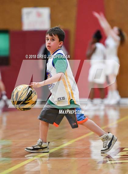 Thumbnail 1 in Windsor @ Cardinal Newman photogallery.