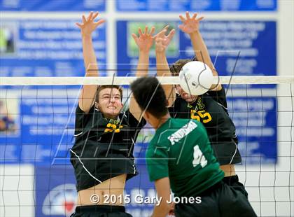 Thumbnail 3 in Ponderosa vs Rio Americano (CIF SJS D2 Final) photogallery.