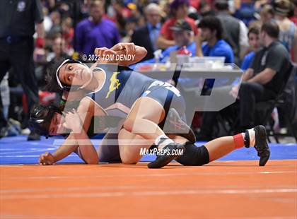 Thumbnail 1 in UIL State Championships - 5A 138lb Final photogallery.