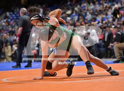 Thumbnail 2 in UIL State Championships - 5A 138lb Final photogallery.