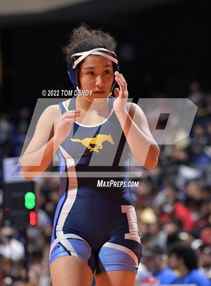 Thumbnail 3 in UIL State Championships - 5A 138lb Final photogallery.