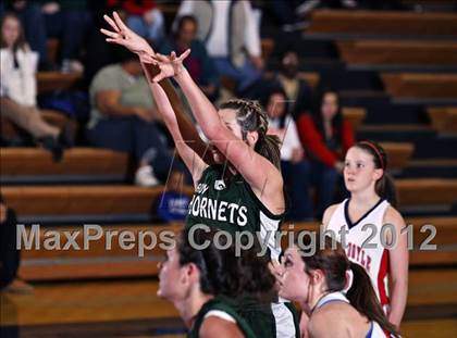 Thumbnail 1 in Carter @ South-Doyle photogallery.