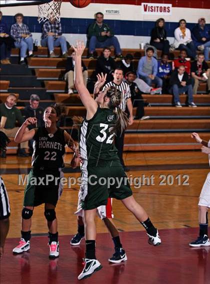 Thumbnail 2 in Carter @ South-Doyle photogallery.