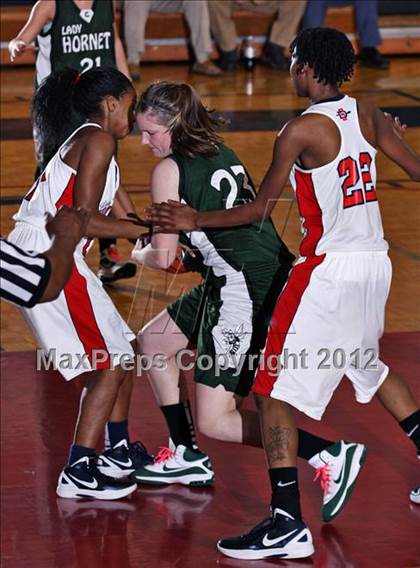 Thumbnail 1 in Carter @ South-Doyle photogallery.
