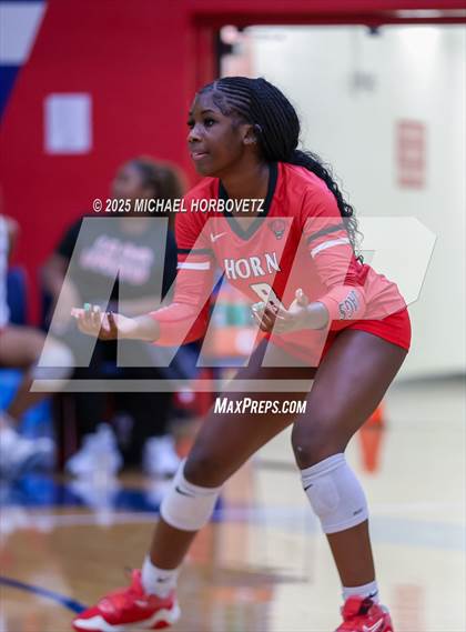 Thumbnail 2 in Pearce vs Mesquite Horn photogallery.