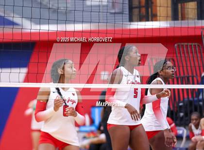 Thumbnail 1 in Pearce vs Mesquite Horn photogallery.