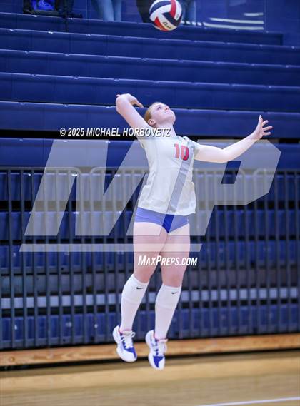 Thumbnail 1 in Pearce vs Mesquite Horn photogallery.