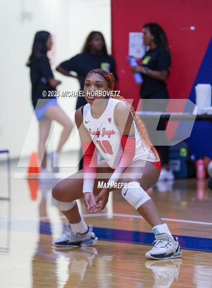 Thumbnail 2 in Pearce vs Mesquite Horn photogallery.