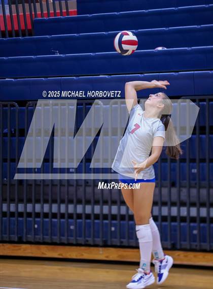 Thumbnail 1 in Pearce vs Mesquite Horn photogallery.