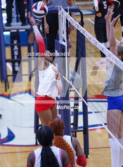 Thumbnail 3 in Pearce vs Mesquite Horn photogallery.