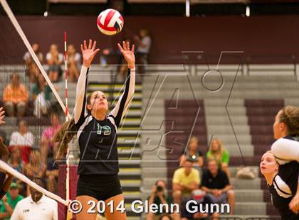 Thumbnail 2 in Carroll @ Plano photogallery.