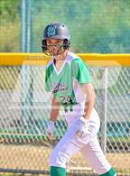 Photo from the gallery "University City @ Hilltop"