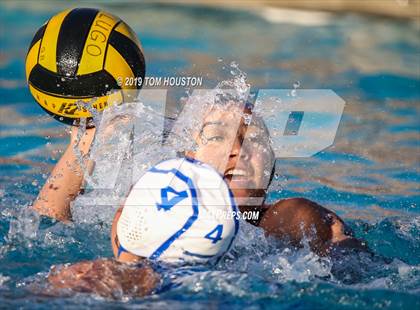 Thumbnail 1 in Chino @ Don Lugo photogallery.
