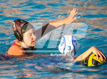 Thumbnail 3 in Chino @ Don Lugo photogallery.