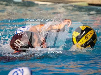Thumbnail 3 in Chino @ Don Lugo photogallery.