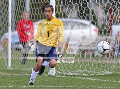 Thumbnail 1 in Ledyard @ Fitch photogallery.
