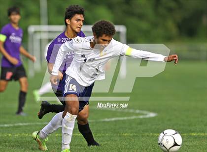 Thumbnail 1 in Ledyard @ Fitch photogallery.