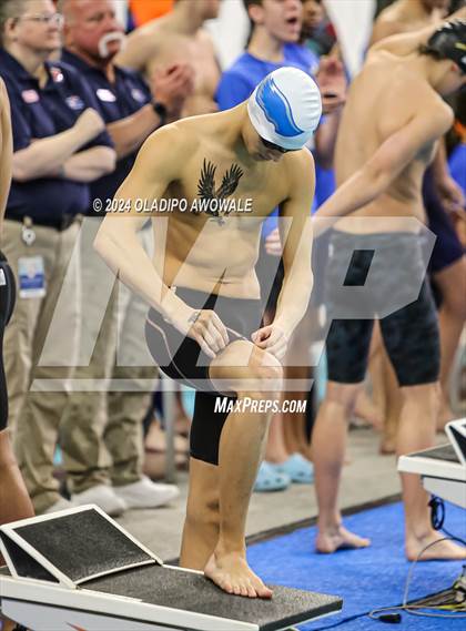 Thumbnail 1 in UIL 5A Swimming & Diving State Finals photogallery.