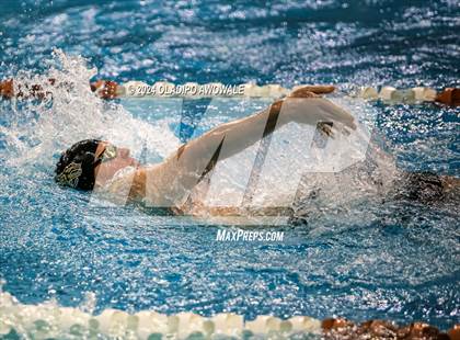Thumbnail 2 in UIL 5A Swimming & Diving State Finals photogallery.