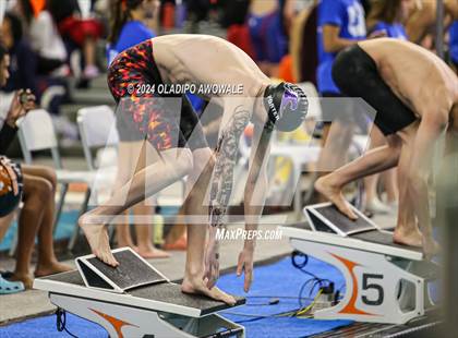 Thumbnail 1 in UIL 5A Swimming & Diving State Finals photogallery.