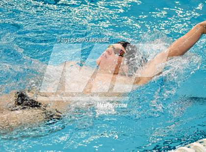 Thumbnail 1 in UIL 5A Swimming & Diving State Finals photogallery.