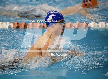 Thumbnail 1 in UIL 5A Swimming & Diving State Finals photogallery.
