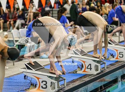 Thumbnail 1 in UIL 5A Swimming & Diving State Finals photogallery.