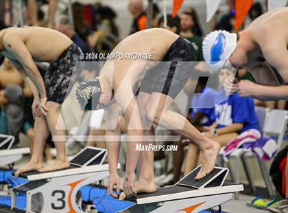 Thumbnail 1 in UIL 5A Swimming & Diving State Finals photogallery.