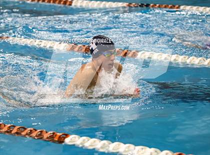 Thumbnail 2 in UIL 5A Swimming & Diving State Finals photogallery.