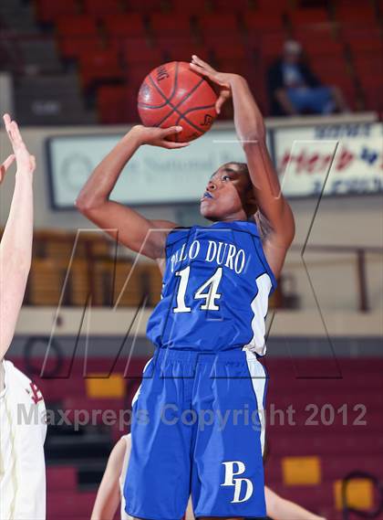 Thumbnail 1 in Palo Duro vs. Keller Central (Fantasy of Lights) photogallery.