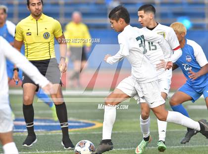 Thumbnail 1 in Temple City vs. Los Altos (CIF State D5 Final) photogallery.