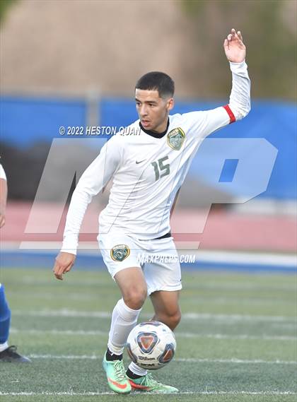Thumbnail 1 in Temple City vs. Los Altos (CIF State D5 Final) photogallery.