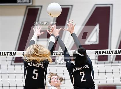 Thumbnail 1 in Chandler @ Hamilton  photogallery.