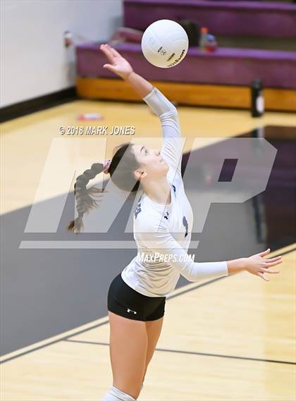 Thumbnail 3 in Chandler @ Hamilton  photogallery.