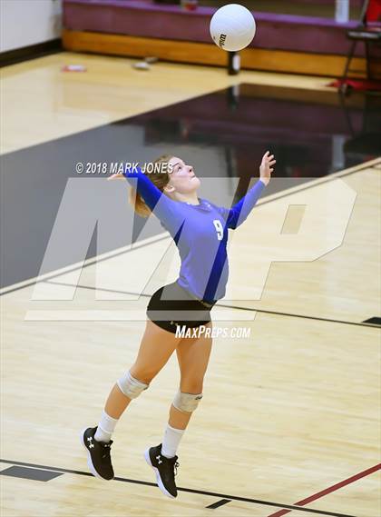 Thumbnail 3 in Chandler @ Hamilton  photogallery.