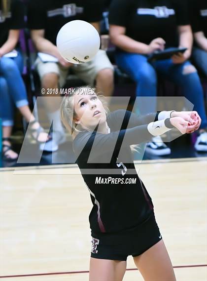 Thumbnail 3 in Chandler @ Hamilton  photogallery.