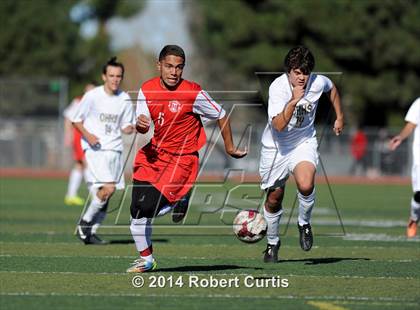 Thumbnail 1 in Quartz Hill vs Hart photogallery.