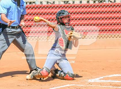 Thumbnail 1 in Salpointe Catholic vs. Bradshaw Mountain (AIA 4A Semifinal) photogallery.