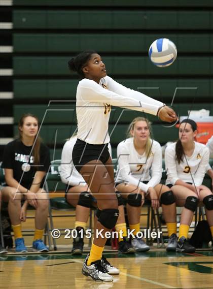 Thumbnail 1 in Adams @ Lake Orion photogallery.