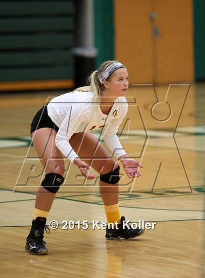 Thumbnail 2 in Adams @ Lake Orion photogallery.