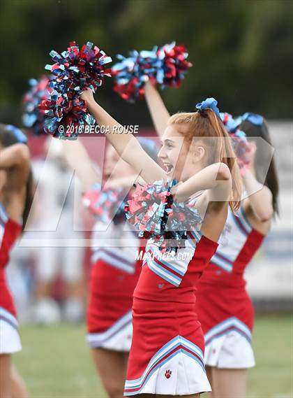 Thumbnail 3 in Ardrey Kell @ Charlotte Catholic photogallery.
