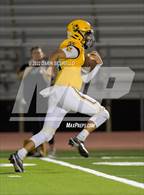 Photo from the gallery "Amphitheater @ Marcos de Niza"
