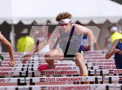 Thumbnail 3 in CHSAA Finals (110 Meter Hurdles) photogallery.