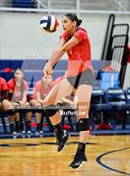 Photo from the gallery "Sotomayor @ Stevens"