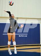 Photo from the gallery "Sotomayor @ Stevens"